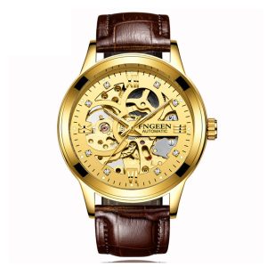 Waterproof Mechanical Luxury Watch for Men – 30 m Depth, Luminous Dial, Interchangeable Steel/Mesh Bands | Shopdecimals