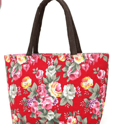 Lightweight Canvas Lunch Tote with Magnetic Snap – Small Mom & Commuter Bag, Multi‑Color, Shopdecimals