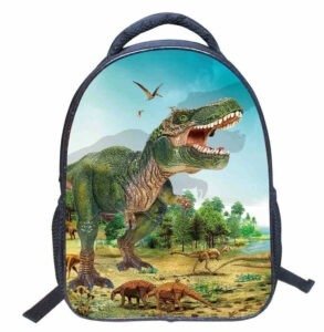 Primary School Kindergarten Shoulders Lightening Backpack | ShopDecimals