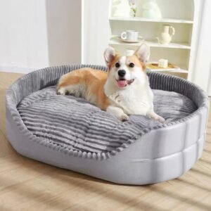 Thickened Sponge Dog Bed | All-Season Comfort for Small to Medium Dogs (Shopdecimals)