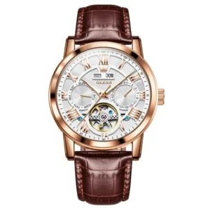 Automatic Mechanical Multifunction Waterproof Leather Strap Men's Watch